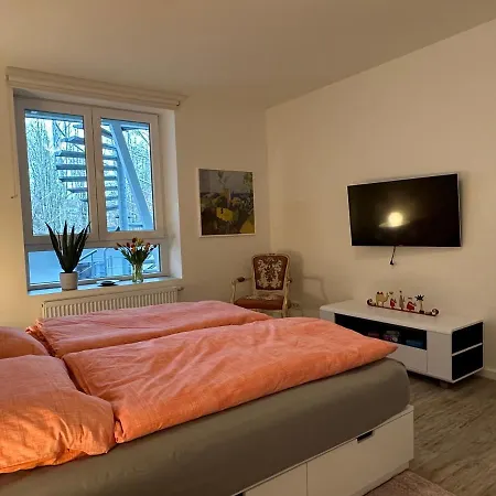 Am Kleinen Muehlenteich - Zentrale Ruhige Lage Mit Parkplatz Und Fahrraedern Apartment Flensburg Exterior photo