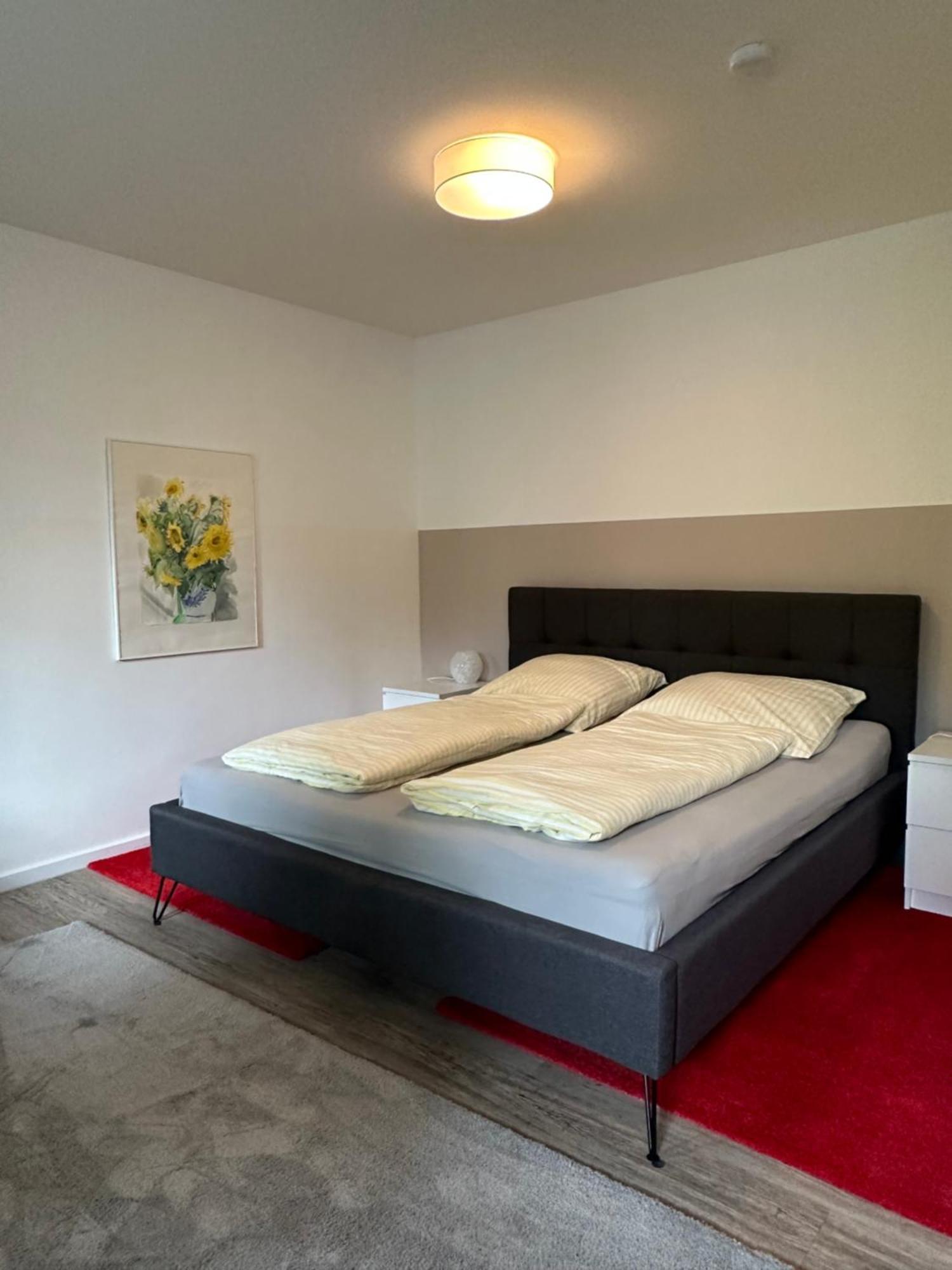 Am Kleinen Muehlenteich - Zentrale Ruhige Lage Mit Parkplatz Und Fahrraedern Apartment *